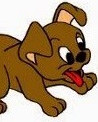 Een bruine hond