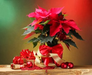 Kerst vieren in Spanje