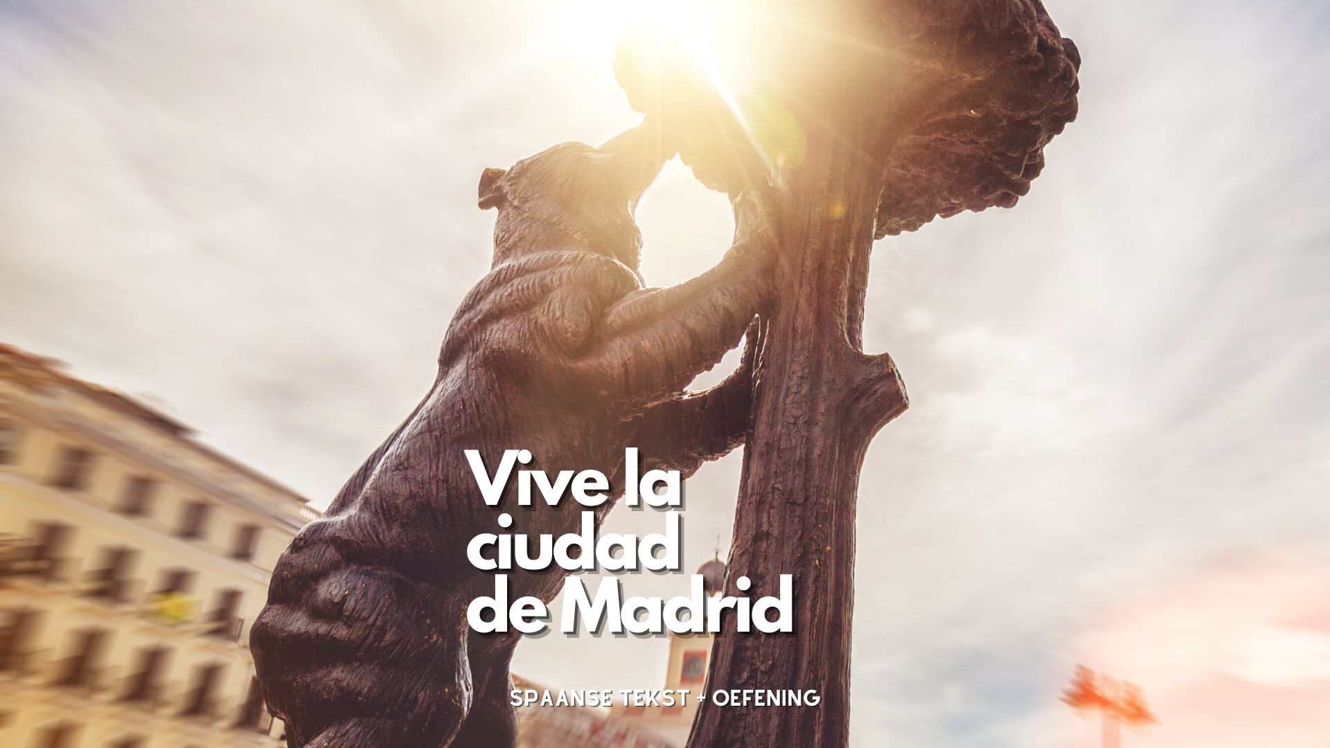 Vive la ciudad de Madrid